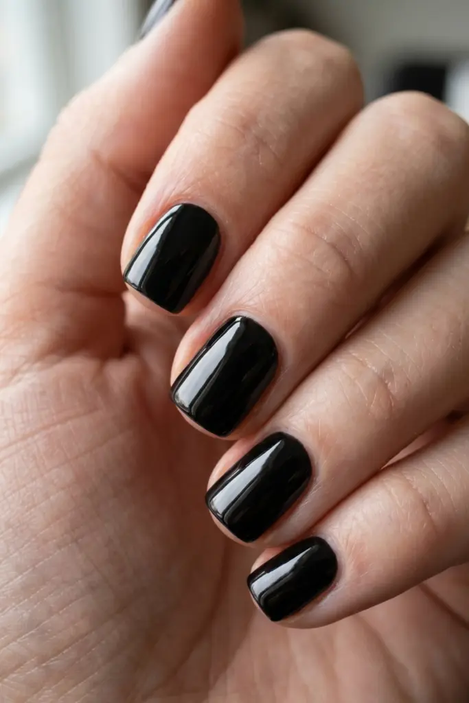 Bold -Black -Variations